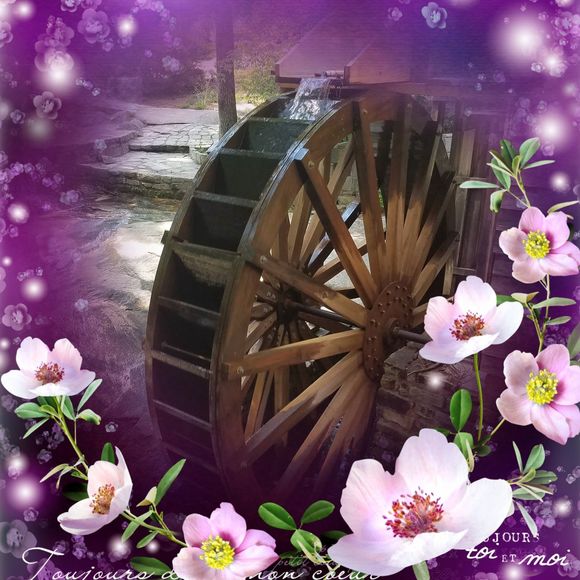 Meet your Posher, Sue - Picture 1 of 1